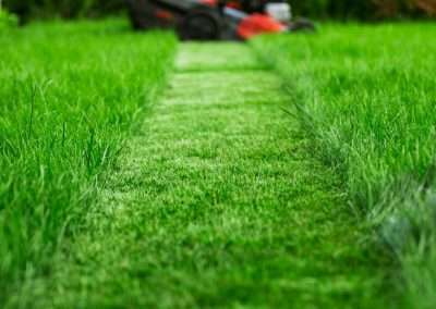 Lawn Maintenance Services, DP Landscaping Clovis