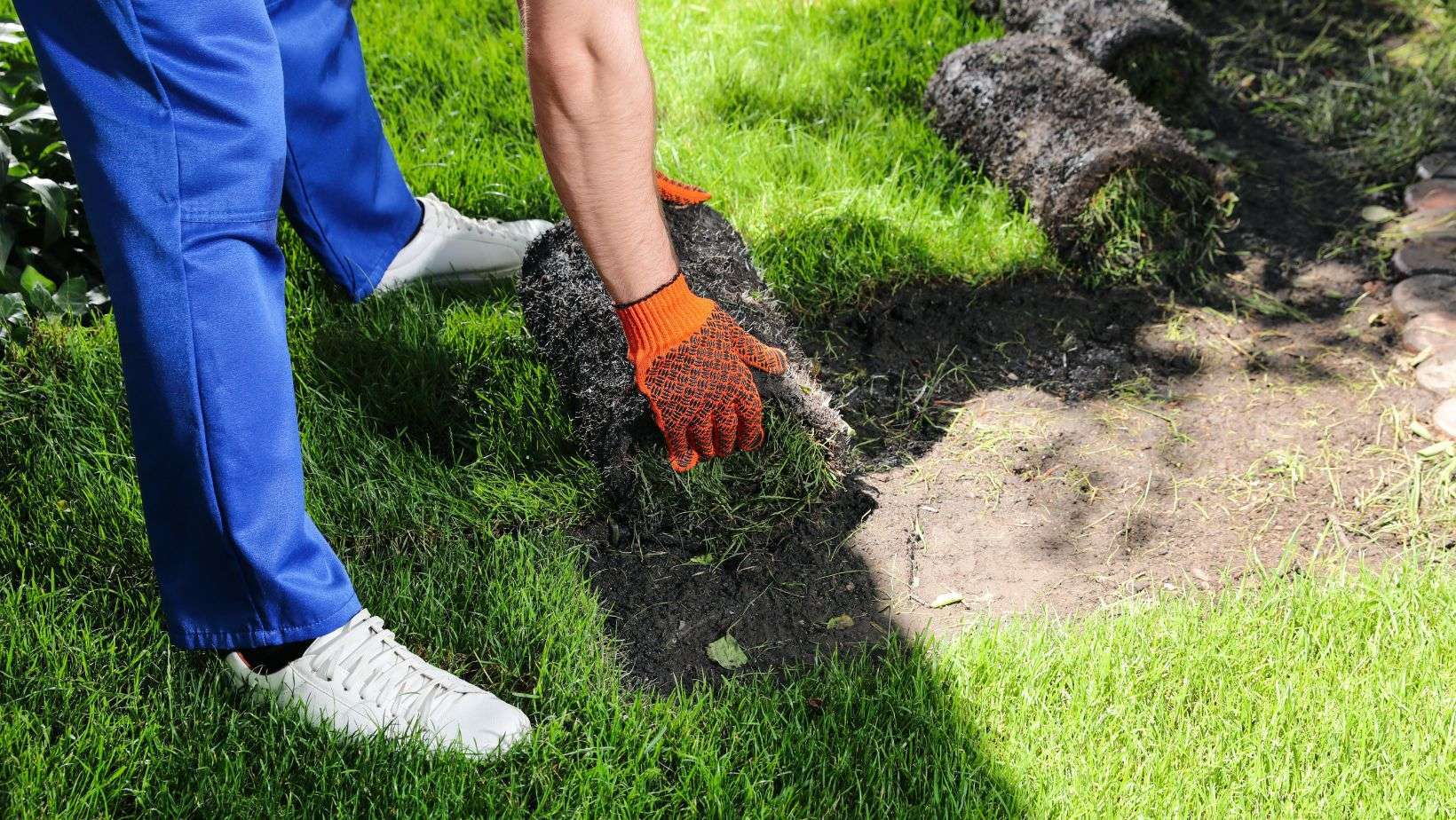 Sod Install Services, DP Landscaping Clovis